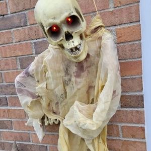 Meet your Posher, Boris